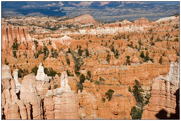 Bryce National Park
