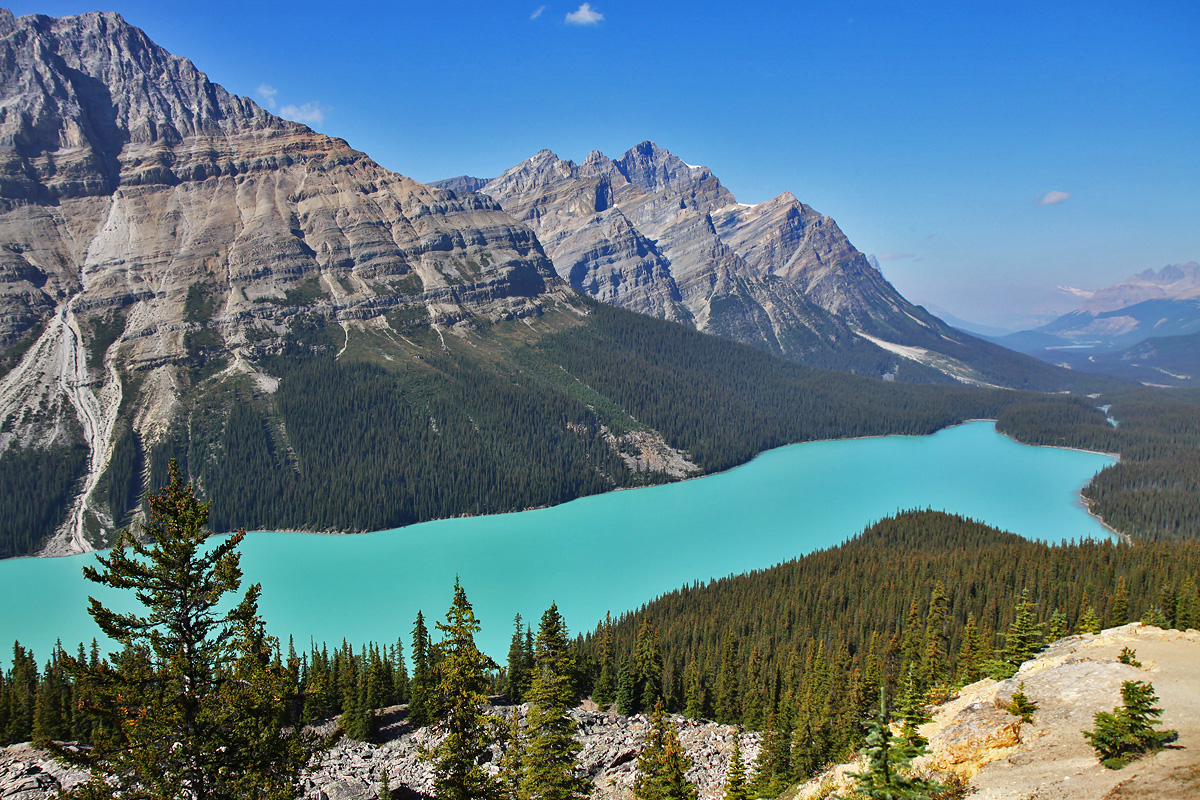 Banff National Park - Peyto Lake
