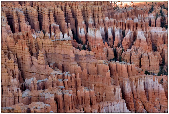 Bryce National Park
