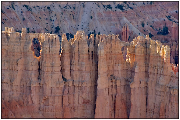 Bryce National Park