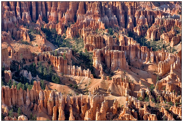 Bryce National Park