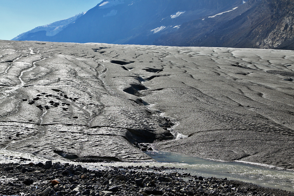 Jasper National Park - Columbia Icefields