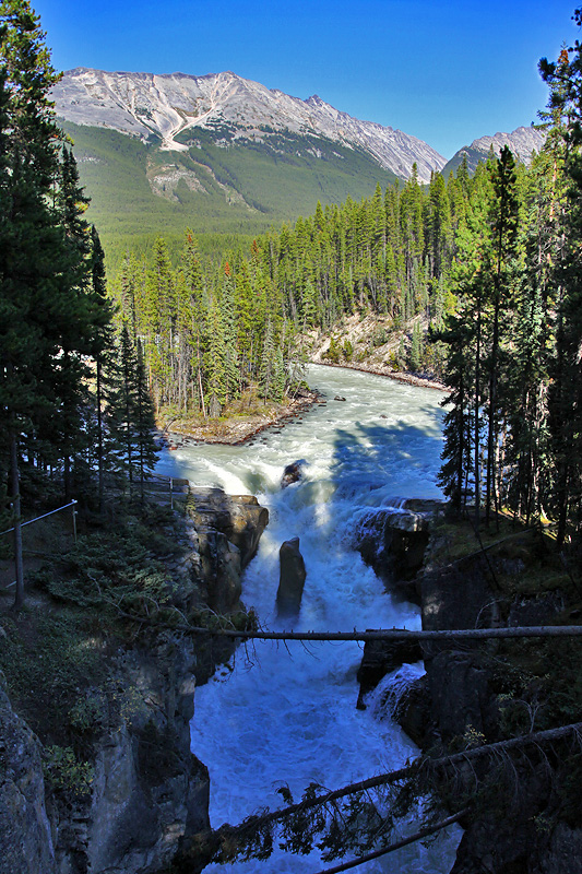 Jasper National Park - Sunwapta Falls