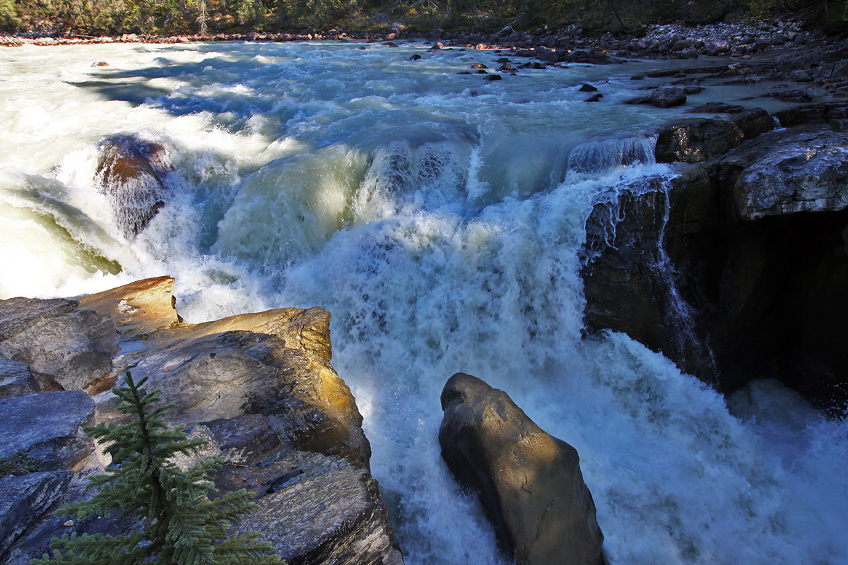 Jasper National Park - Sunwapta Falls
