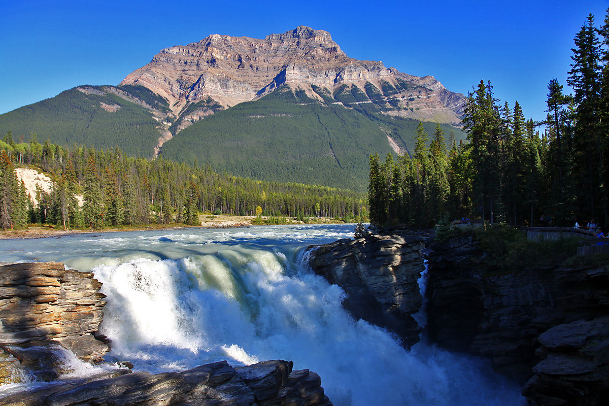 Jasper National Park - Athabasca Falls