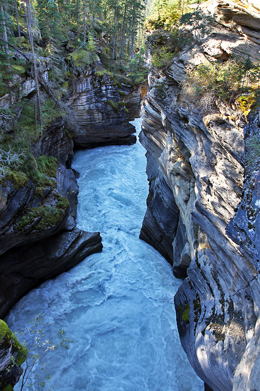 Jasper National Park - Athabasca Falls
