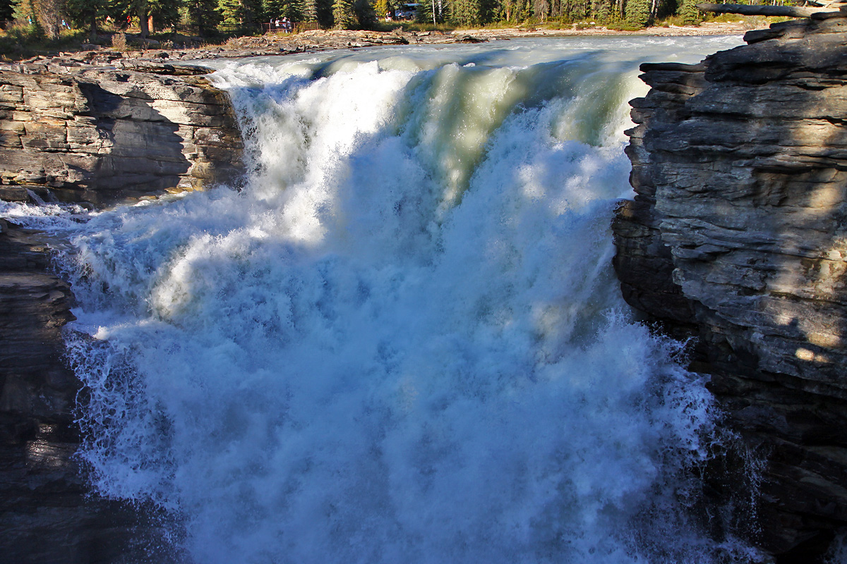 Jasper National Park - Athabasca Falls
