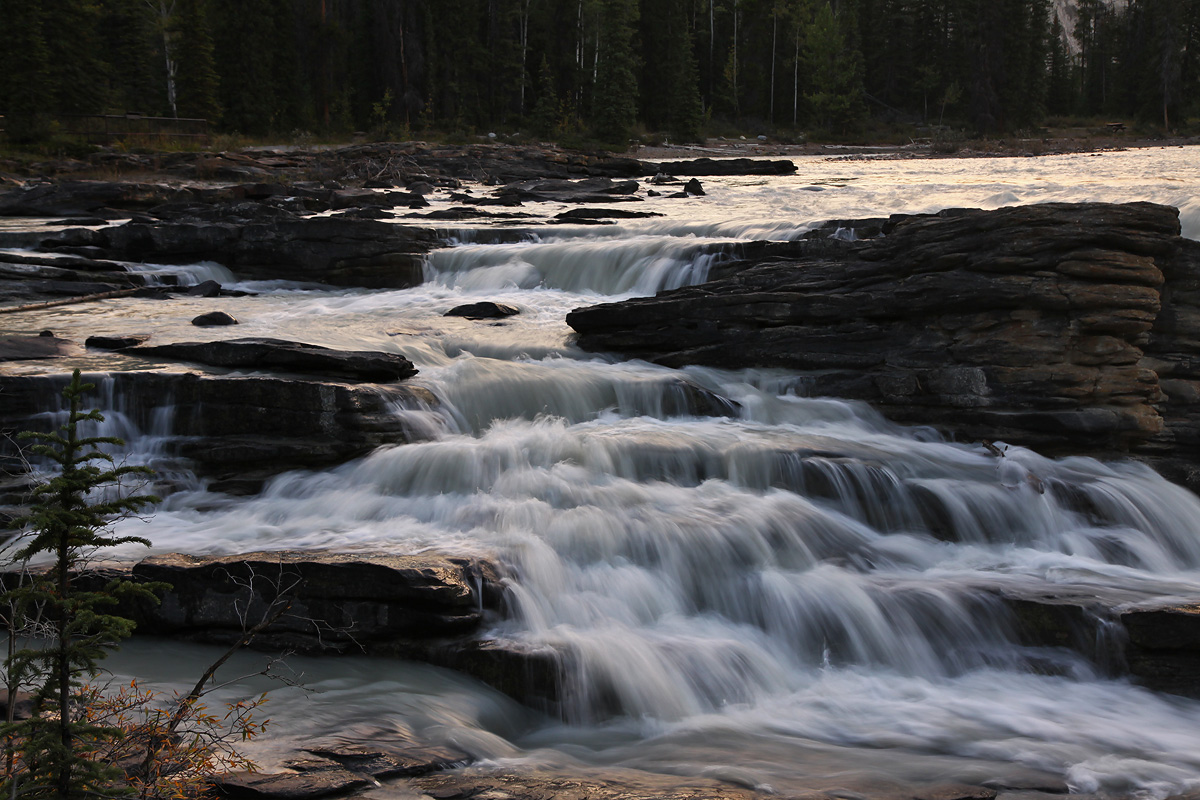 Jasper National Park - Athabasca Falls