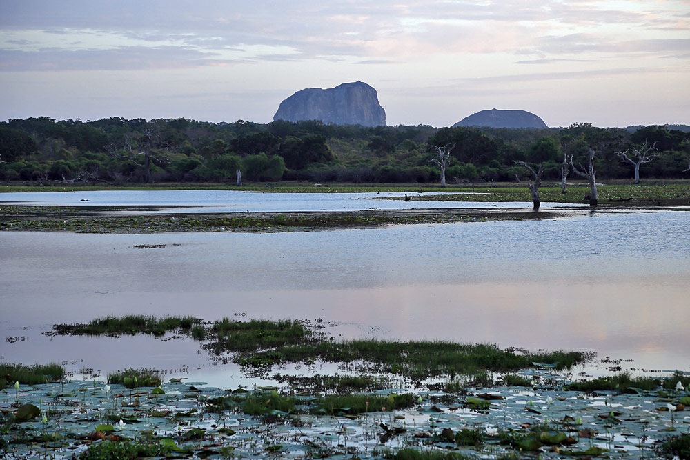 Yala National Park