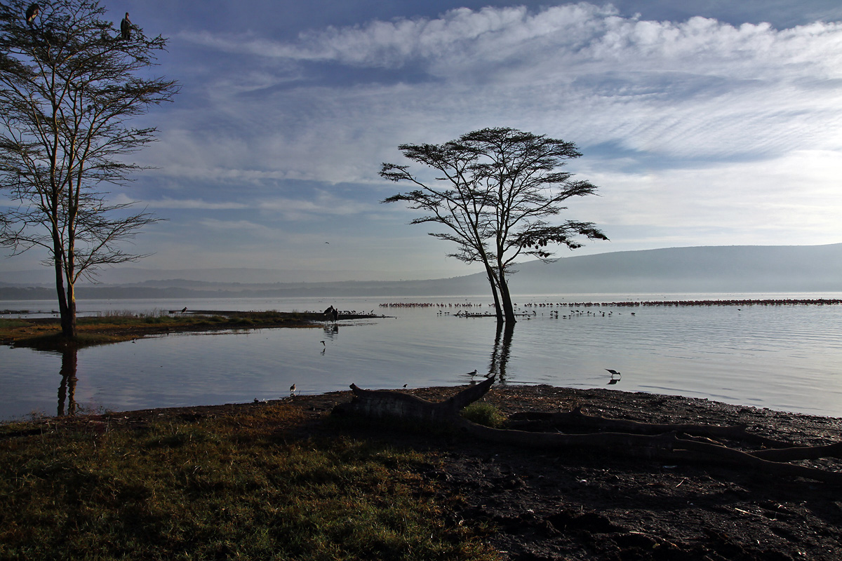 Nakuru National Park