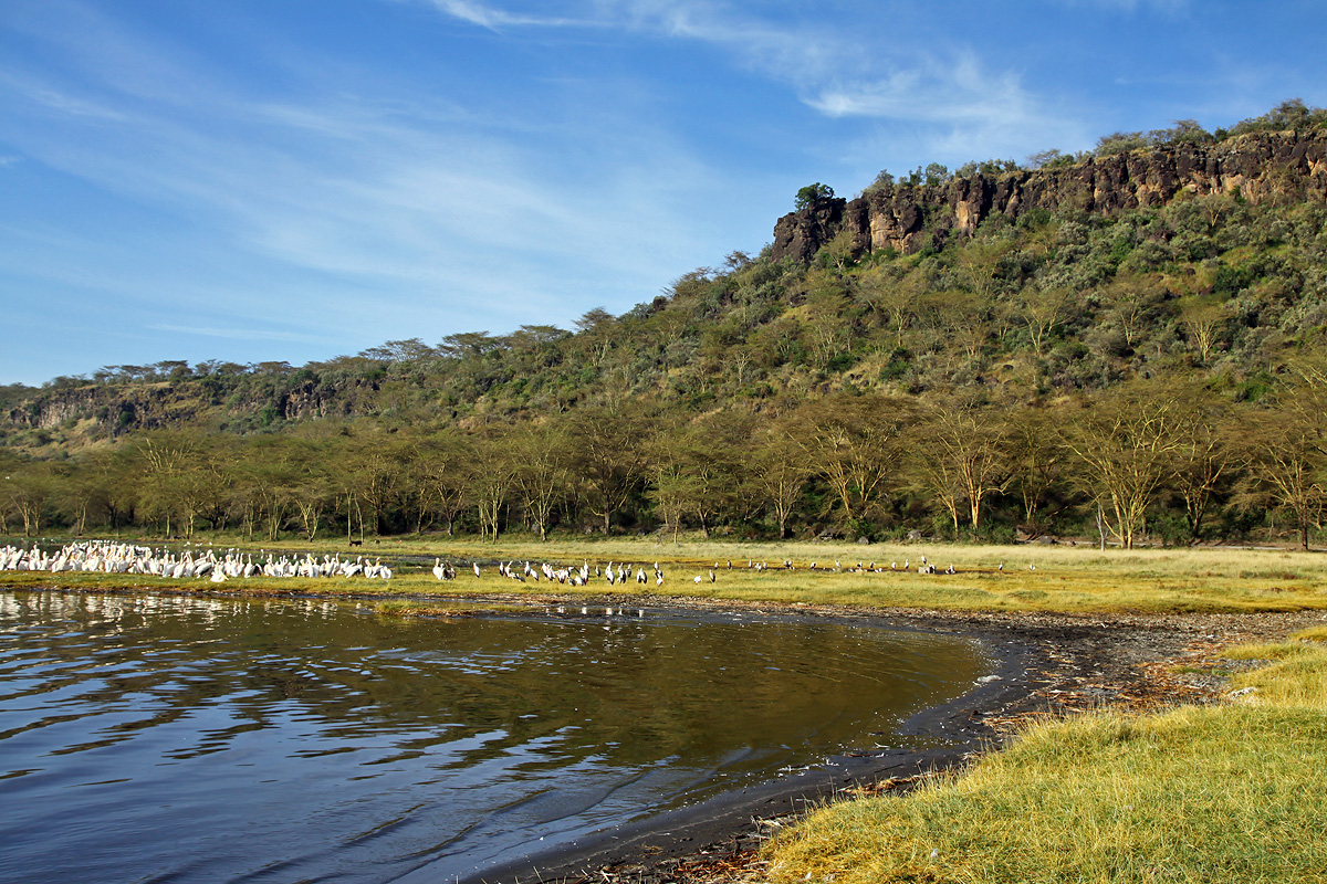 Nakuru National Park