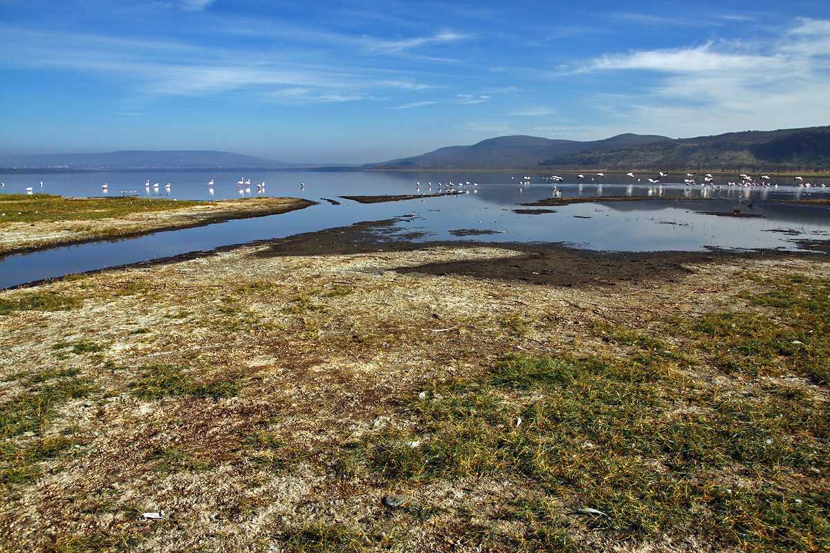 Nakuru National Park