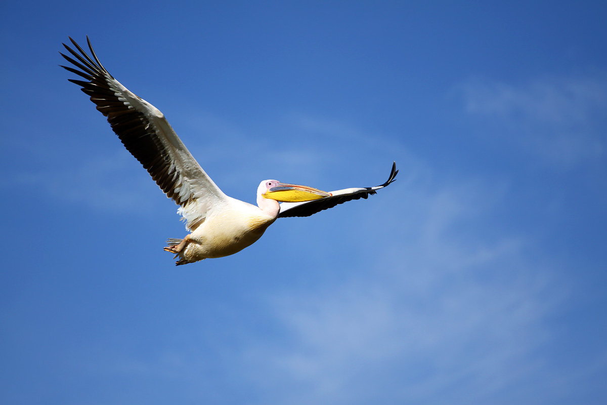 Nakuru National Park