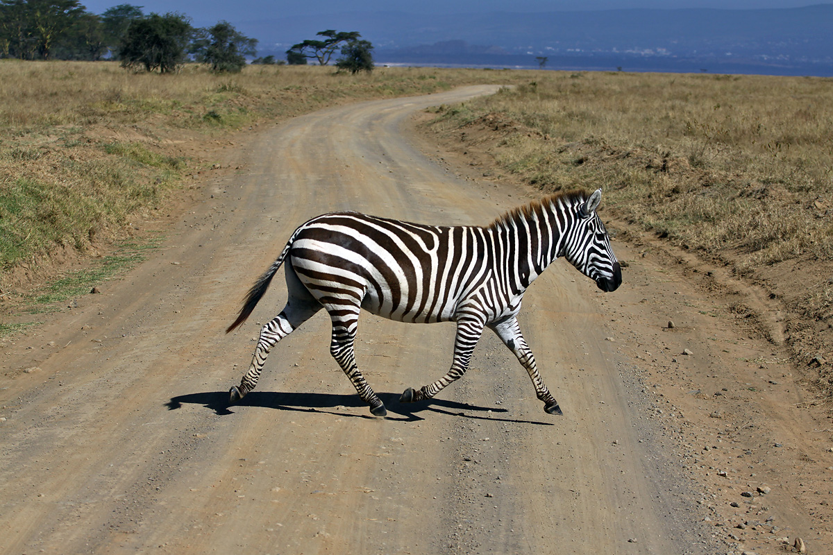 Nakuru National Park
