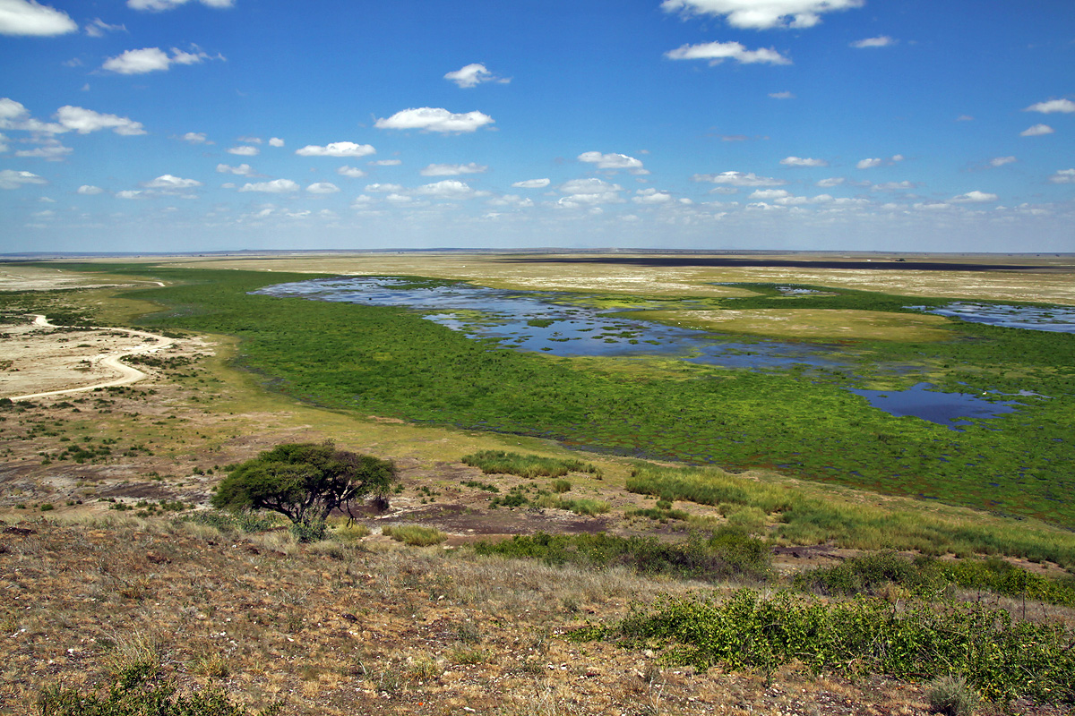 Amboseli National Park