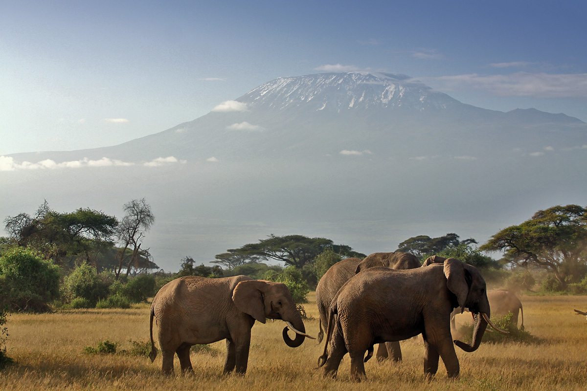 Amboseli National Park