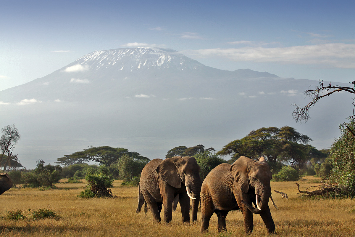 Amboseli National Park