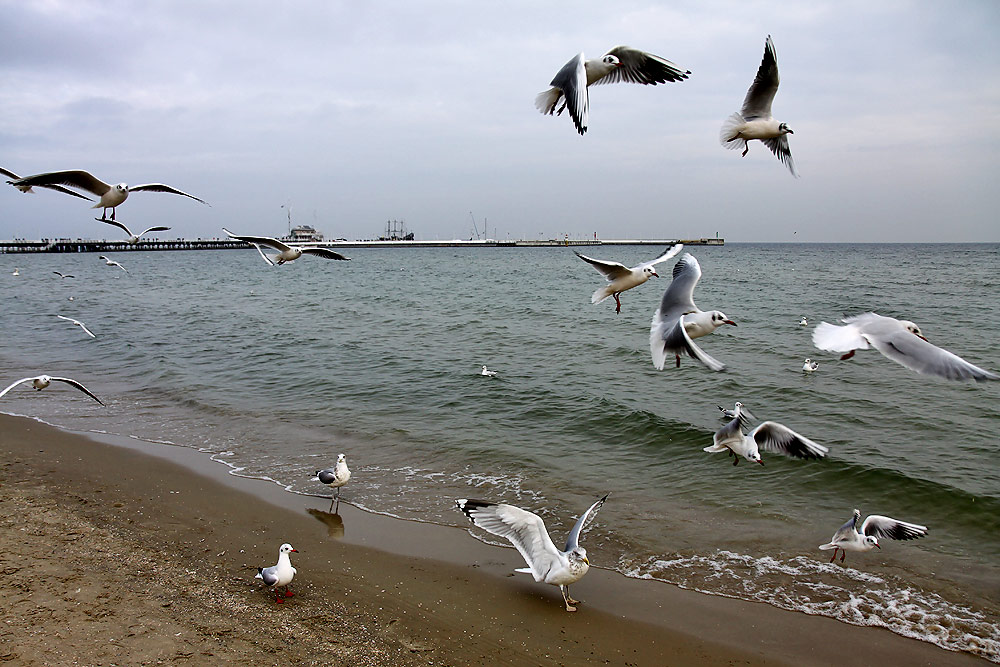 Sopot
