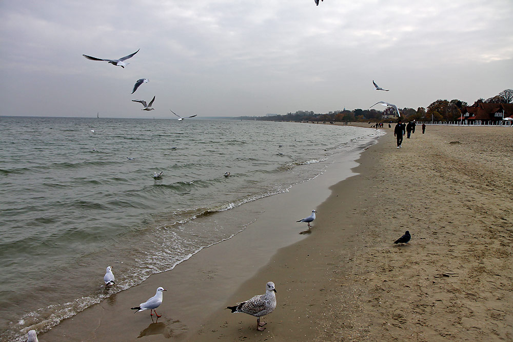 Sopot