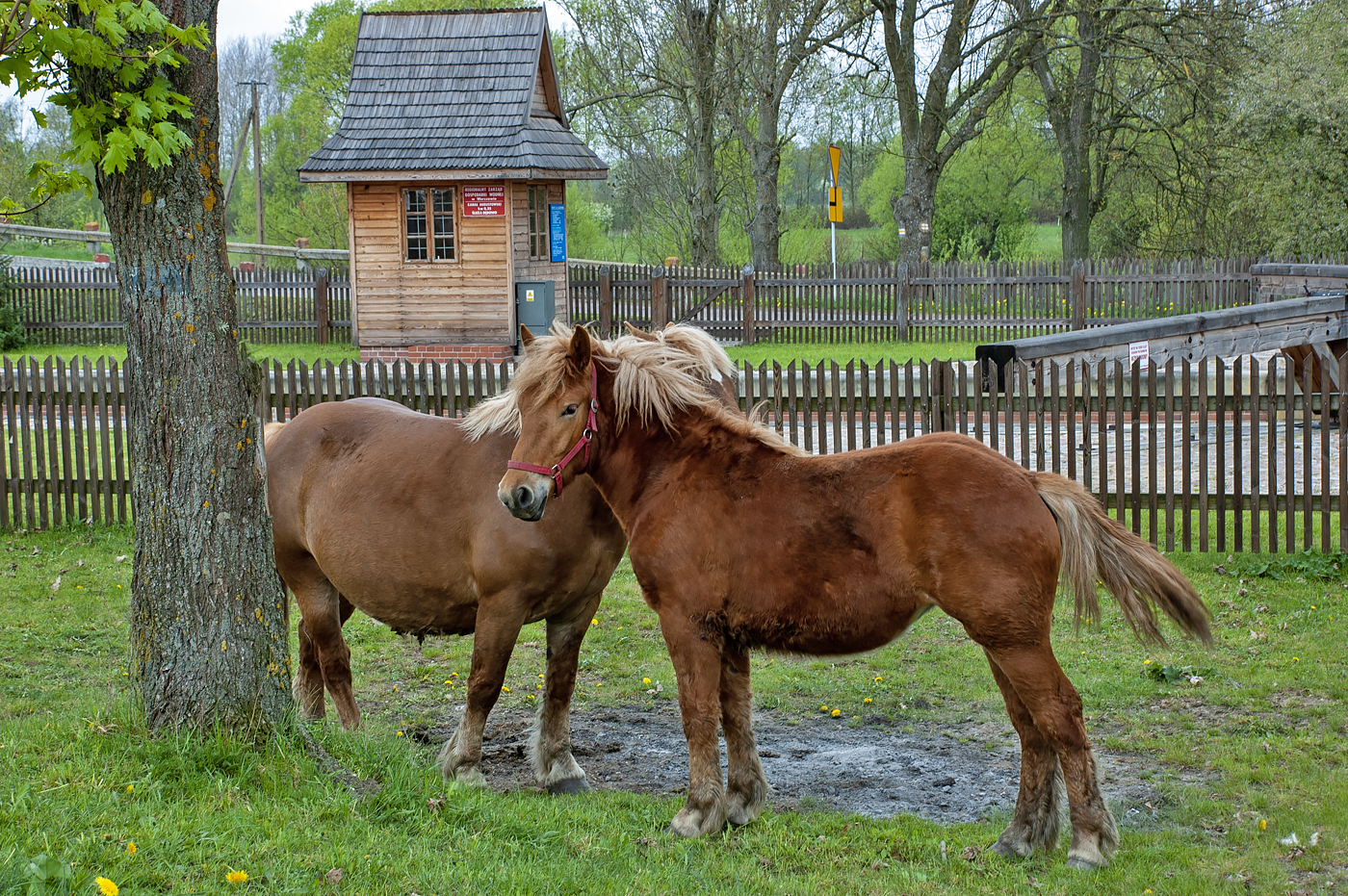 Biebrza National Park