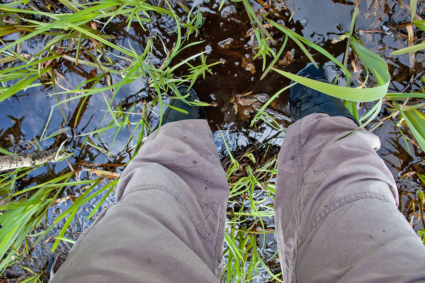 Biebrza National Park