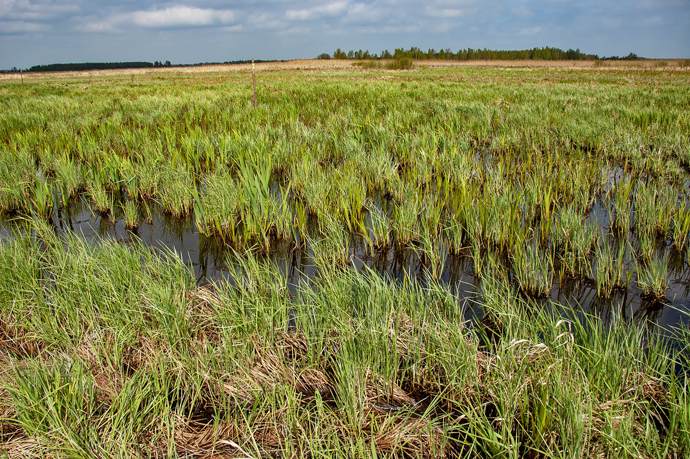 Biebrza National Park