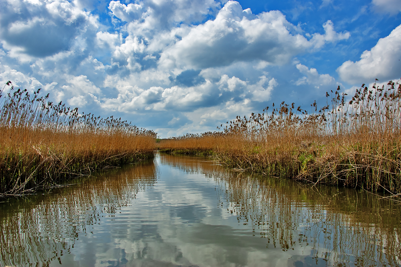 Biebrza National Park
