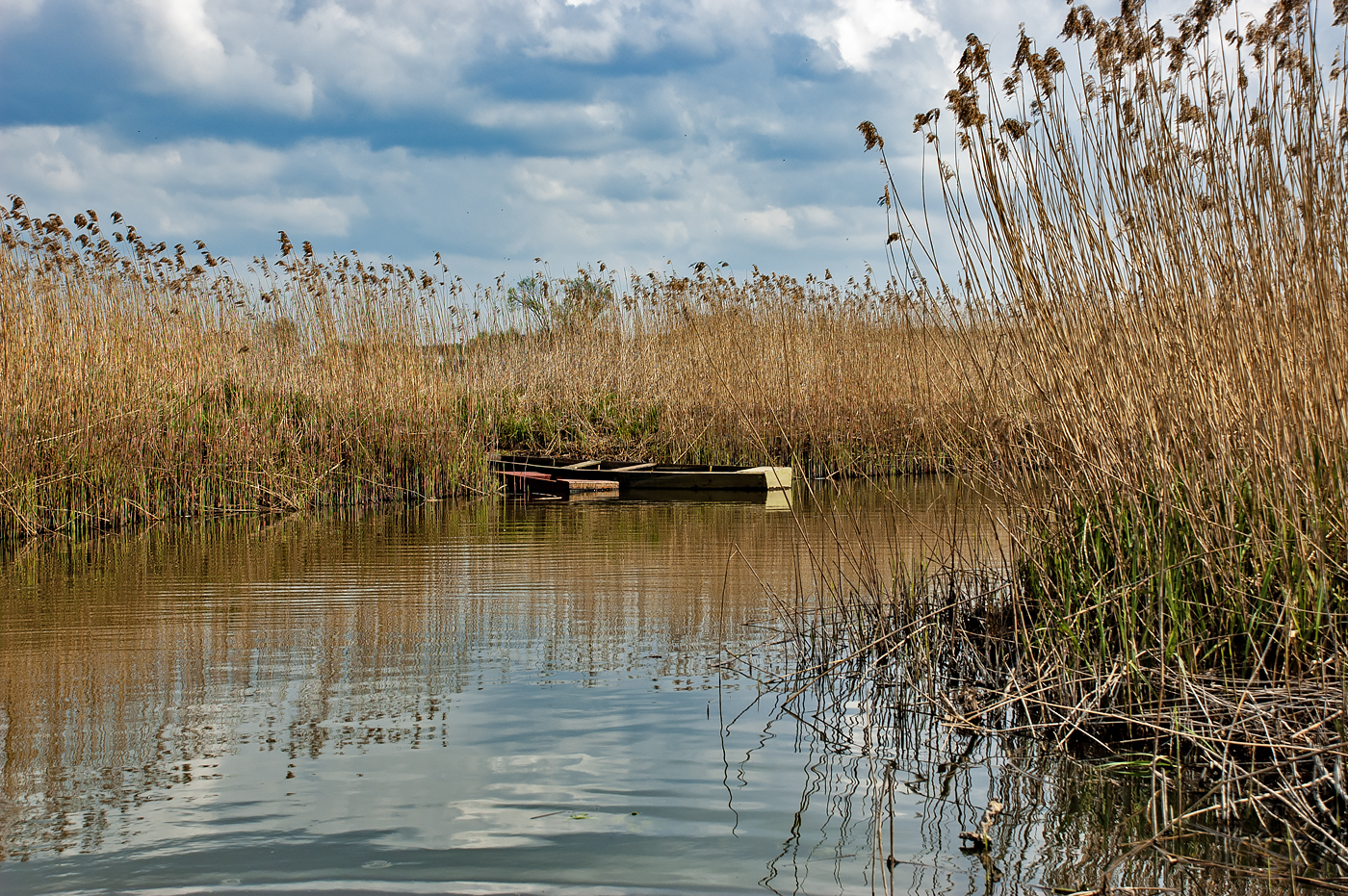 Biebrza National Park