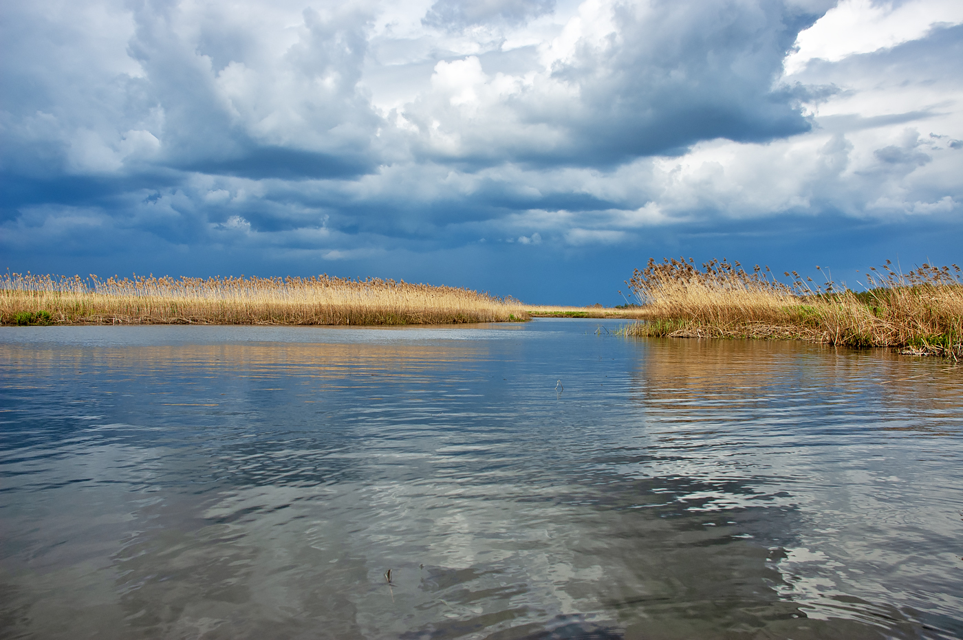 Biebrza National Park