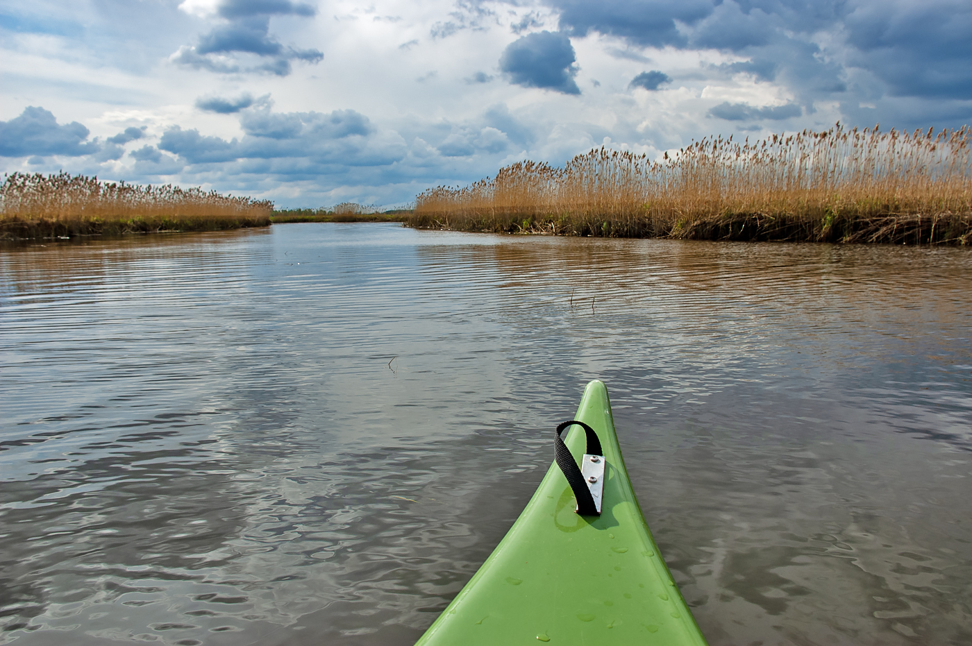 Biebrza National Park
