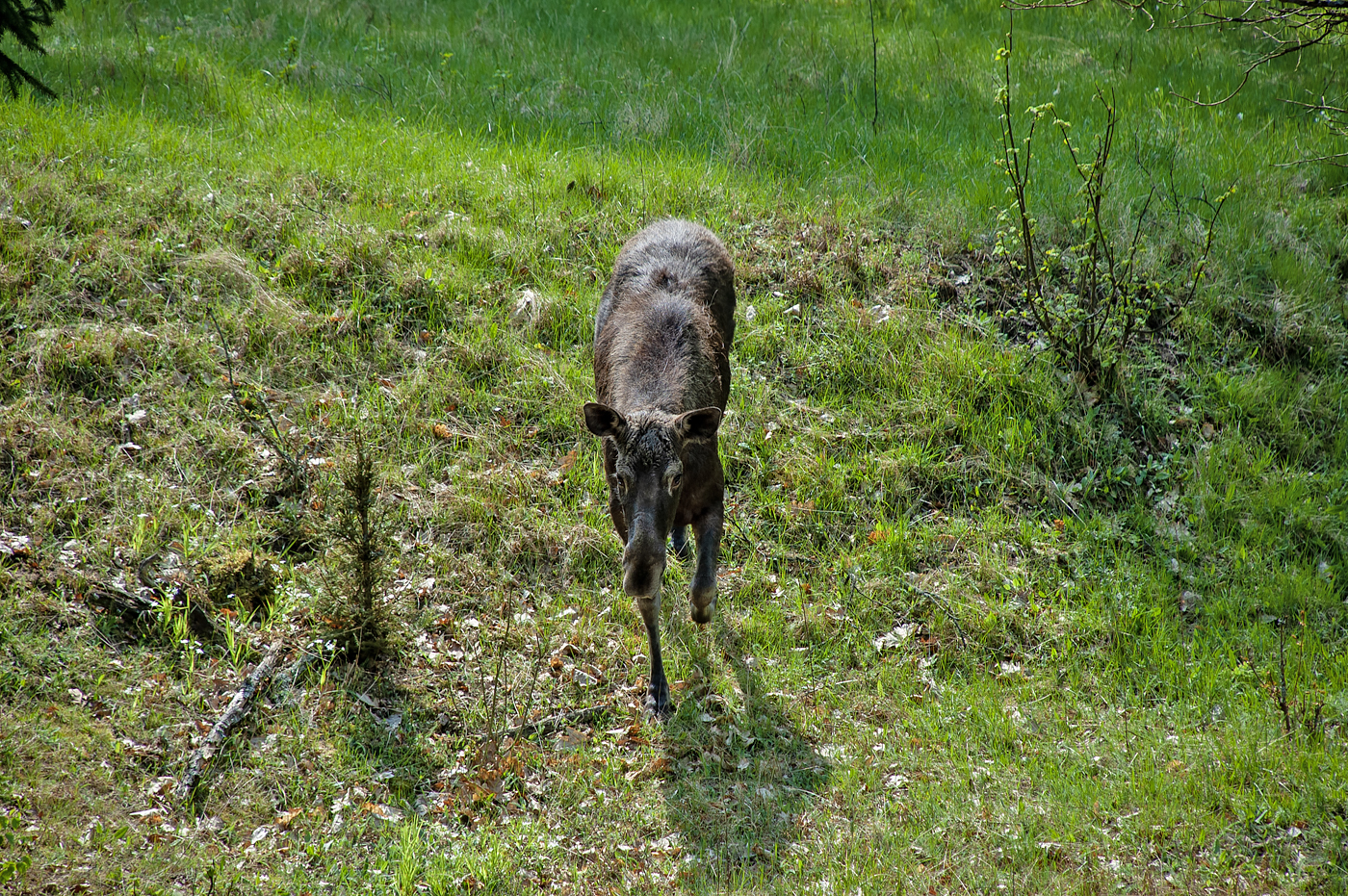 Biebrza National Park