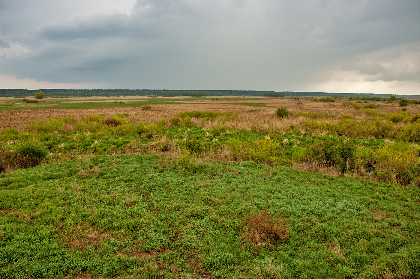Biebrza National Park