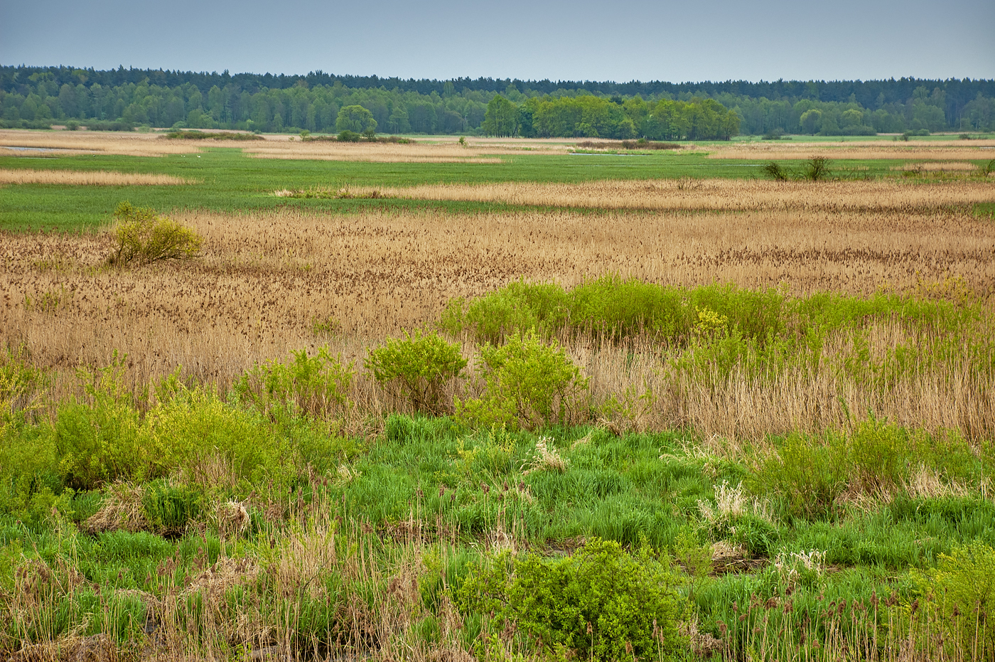 Biebrza National Park