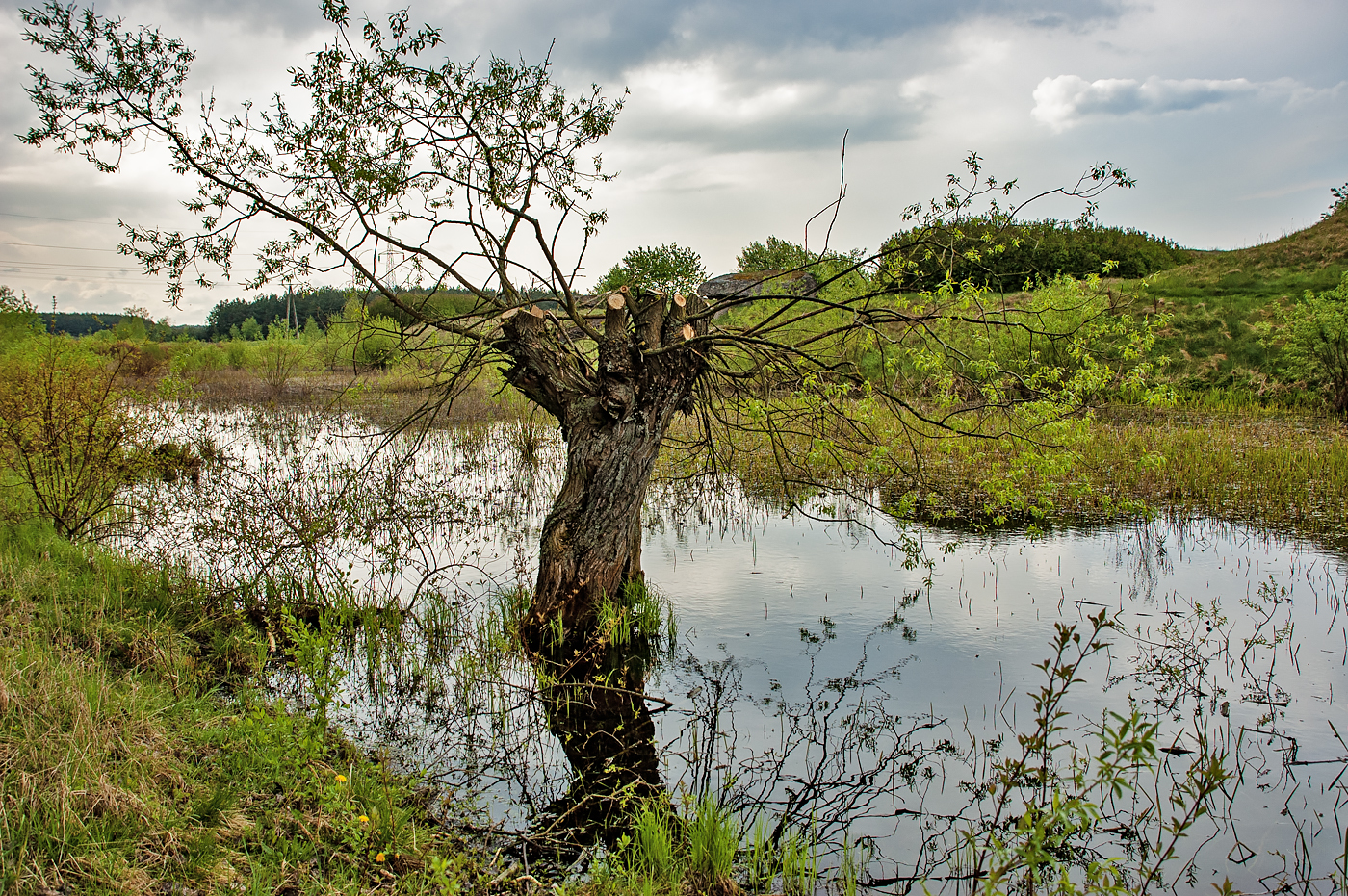 Biebrza National Park