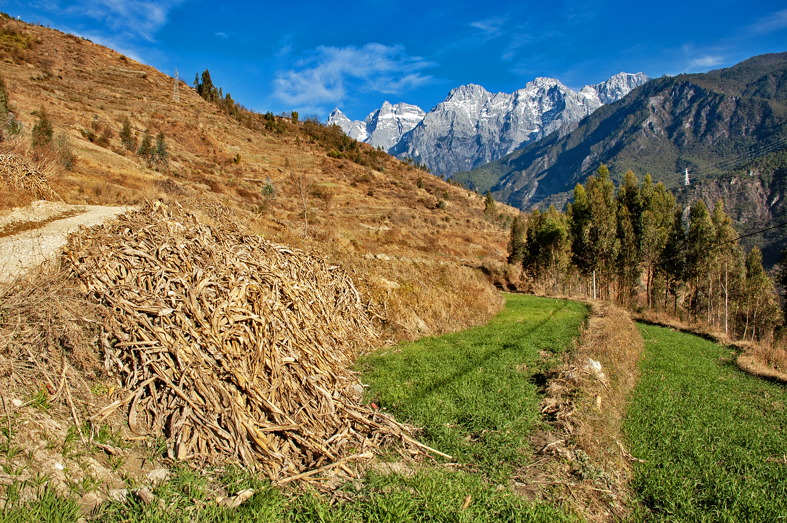 Tiger Leaping Gorge