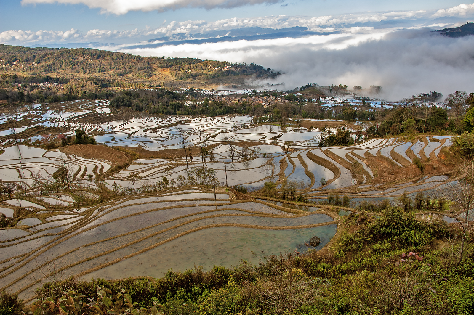 Yuanyang Rice Terraces