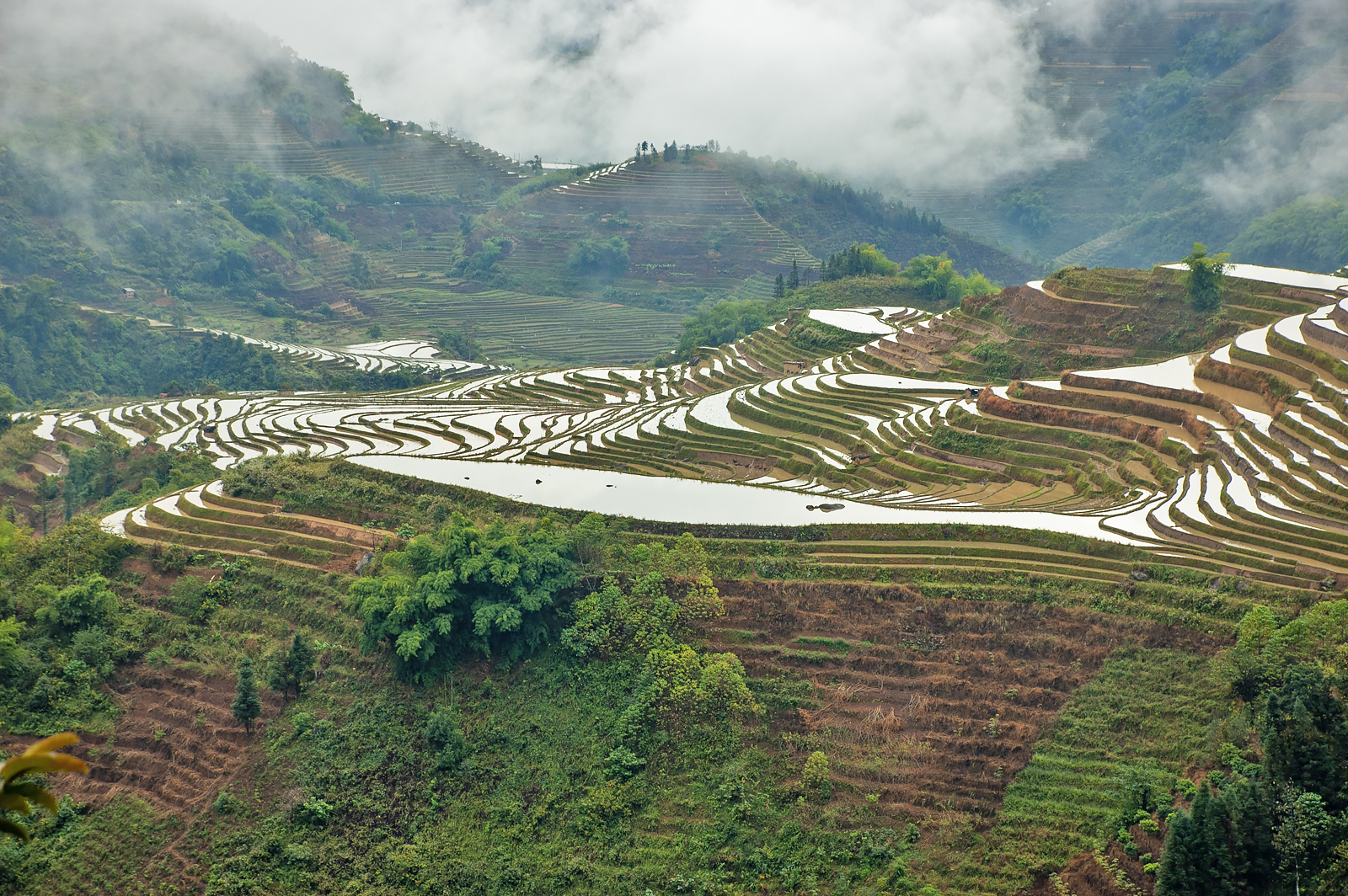 Yuanyang Rice Terraces
