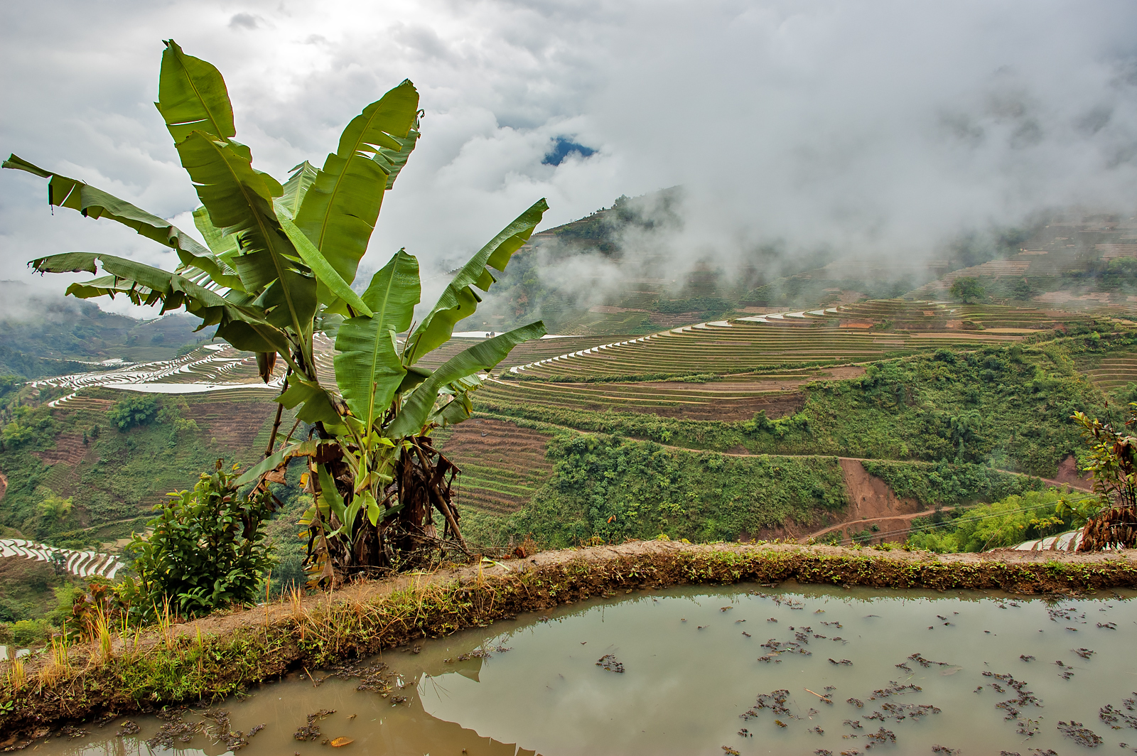 Yuanyang Rice Terraces