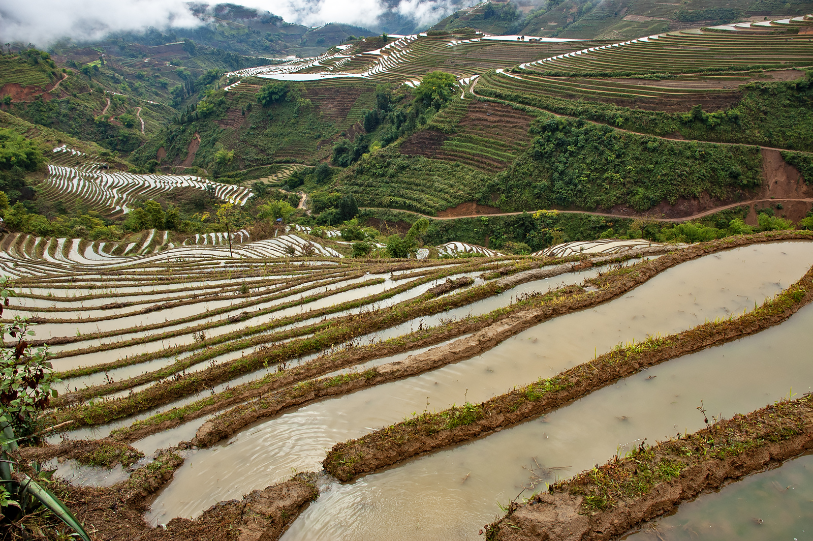 Yuanyang Rice Terraces