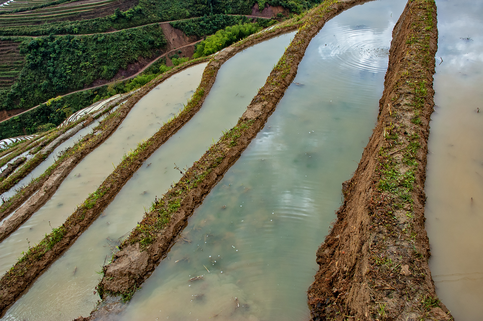 Yuanyang Rice Terraces