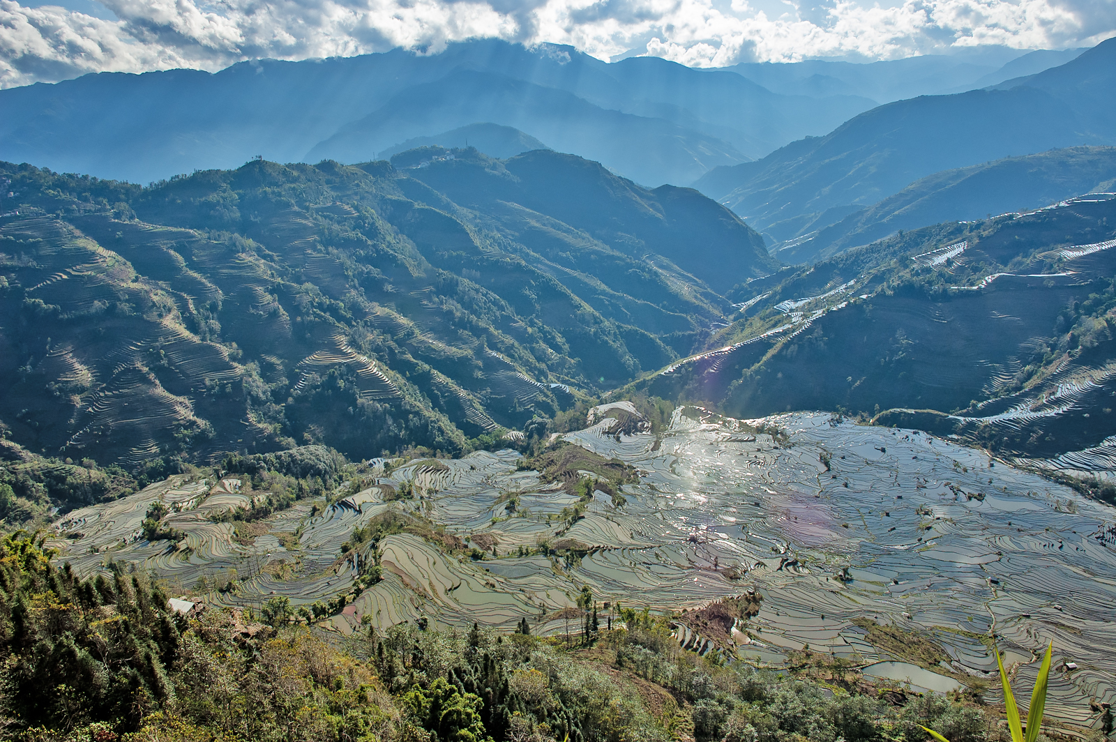 Yuanyang Rice Terraces