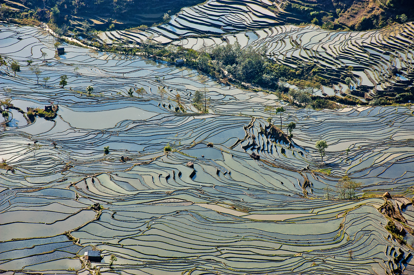 Yuanyang Rice Terraces