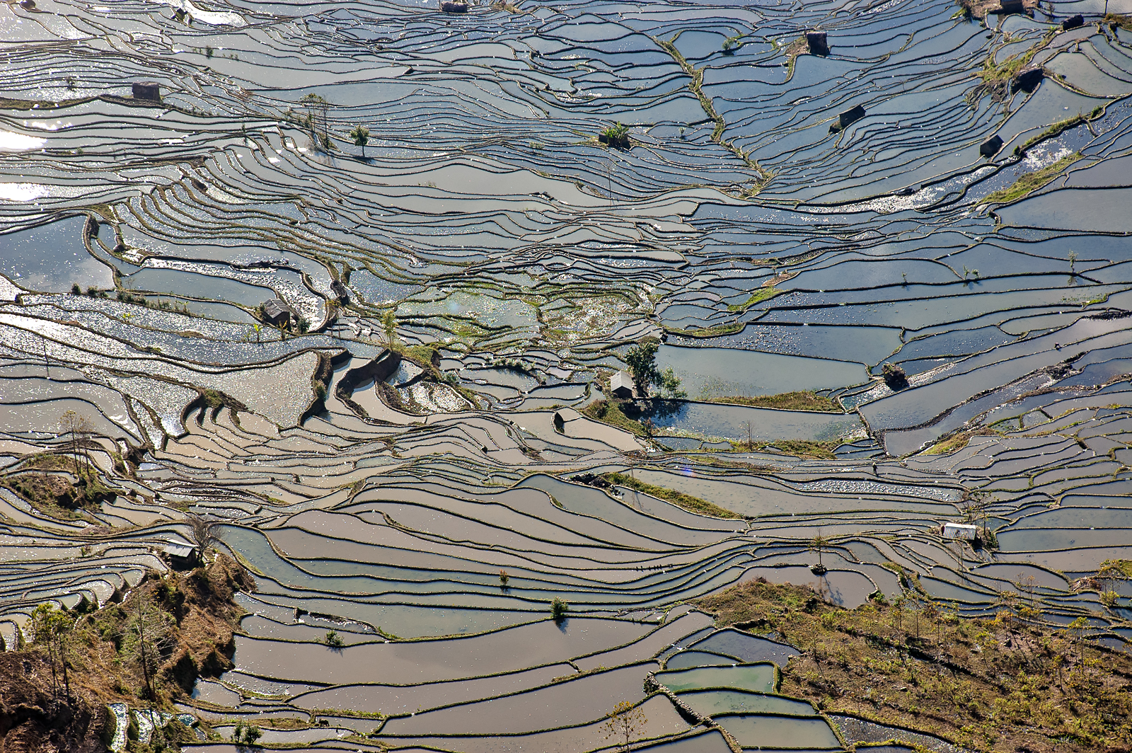 Yuanyang Rice Terraces