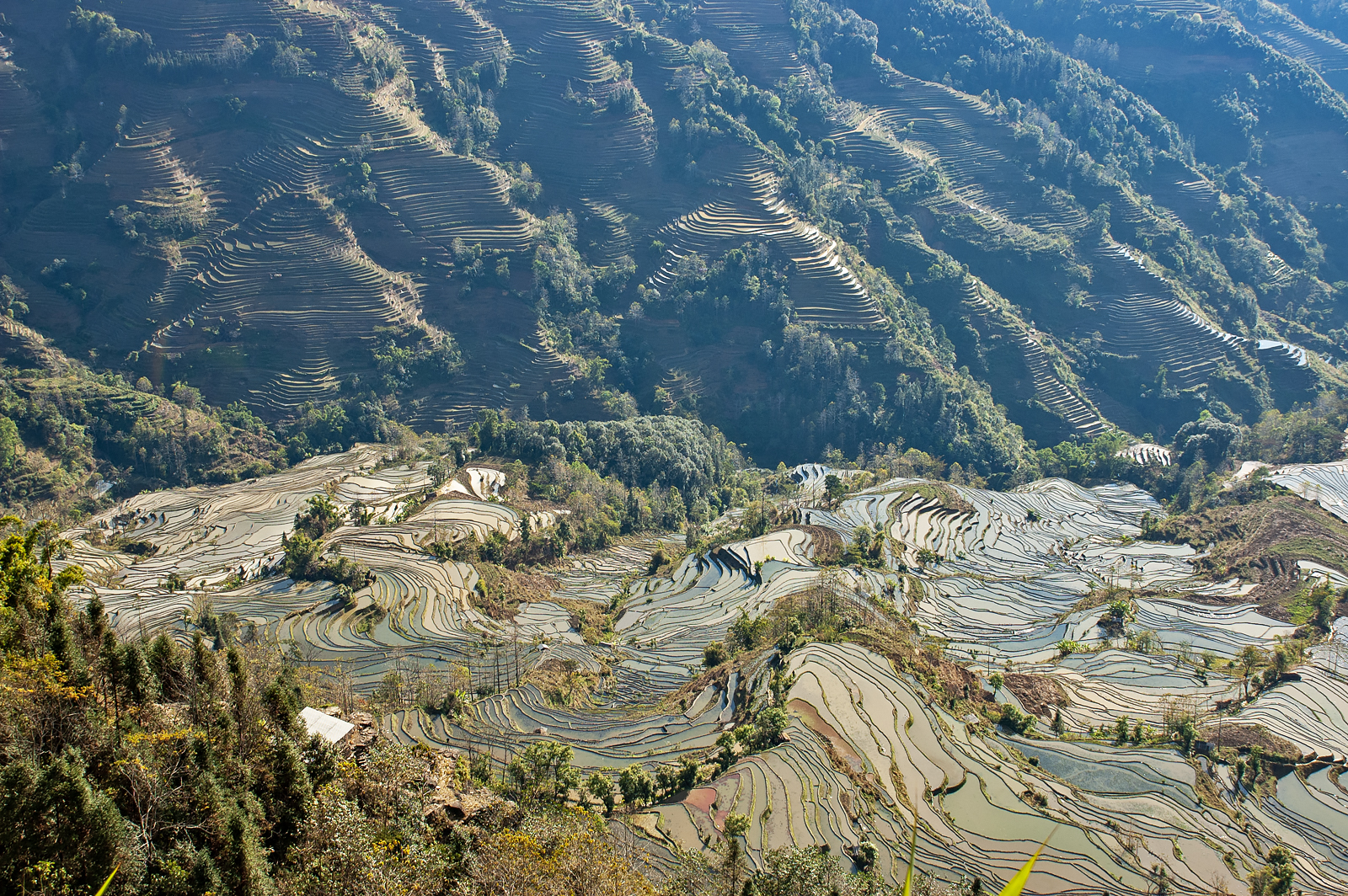 Yuanyang Rice Terraces