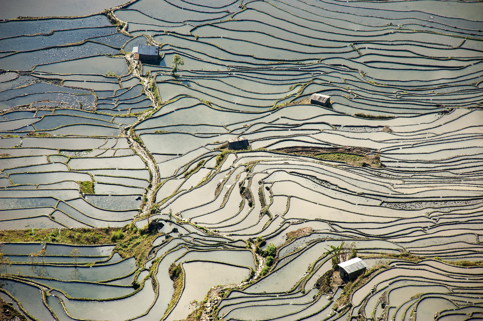 Yuanyang Rice Terraces