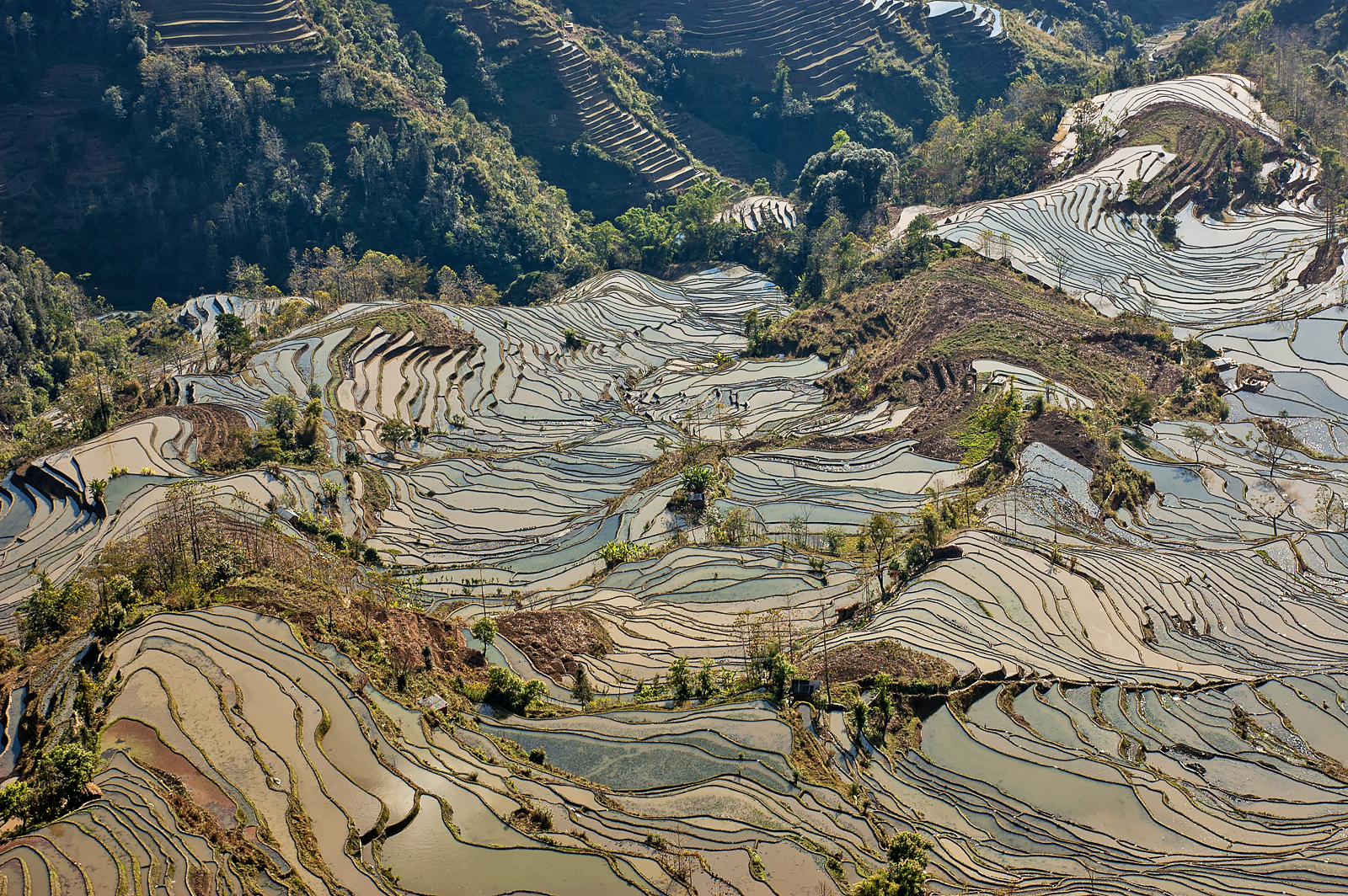 Yuanyang Rice Terraces