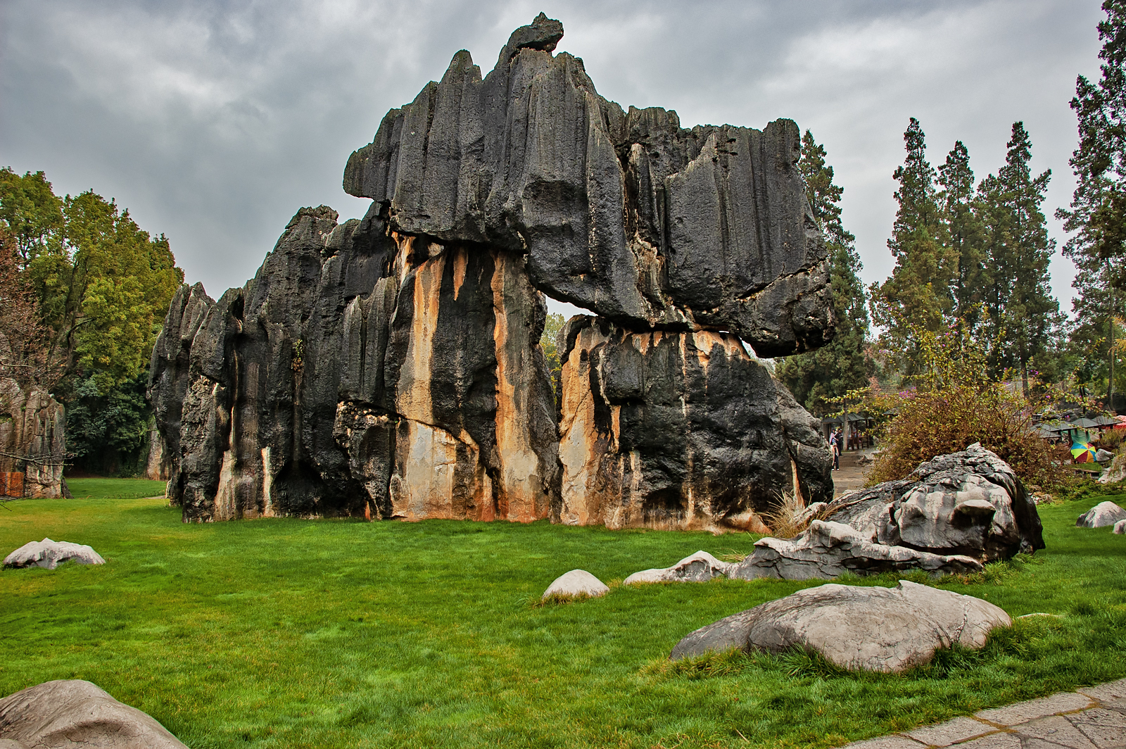 Stone Forest