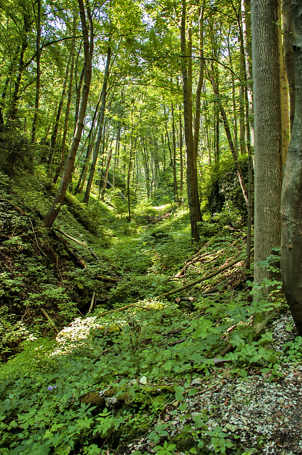 Ojcowski National Park