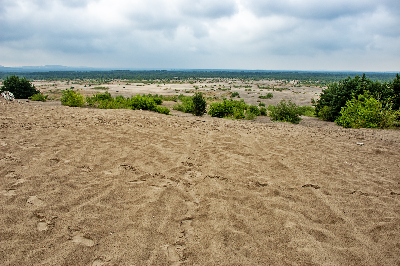 Błędowska desert