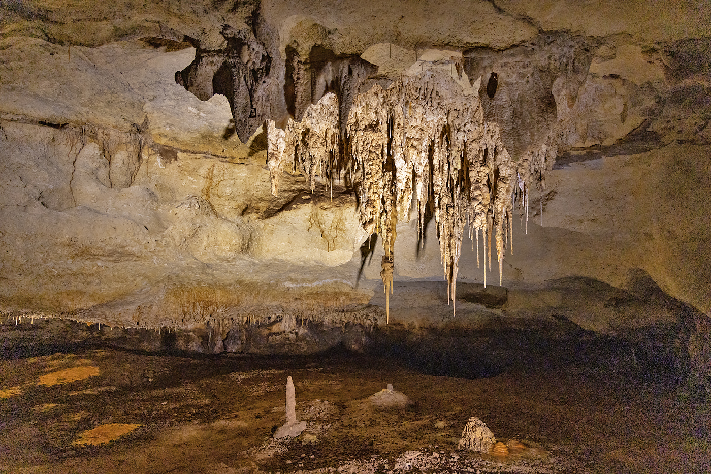Naracoorte Caves